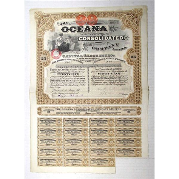 Oceana Consolidated Co, Ltd., 1929. 25 Shrs Specimen Coupon Warrant Cert. VF-XF