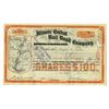 Image 1 : IL. Illinois Central Rail Road Co., 1899, I/C Stock Certificate Issued to Joseph N. Field.