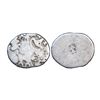 Image 1 : Magadha Imperial Series IVd, Silver Karshapana, 3.14 gms