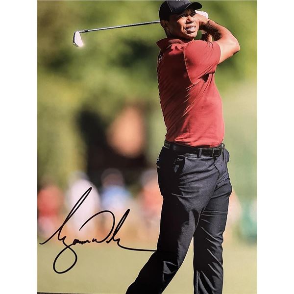 Tiger Woods signed photo