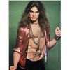 Image 1 : Van Halen David Lee Roth signed photo