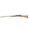 Image 1 : Fusil Vetterli.