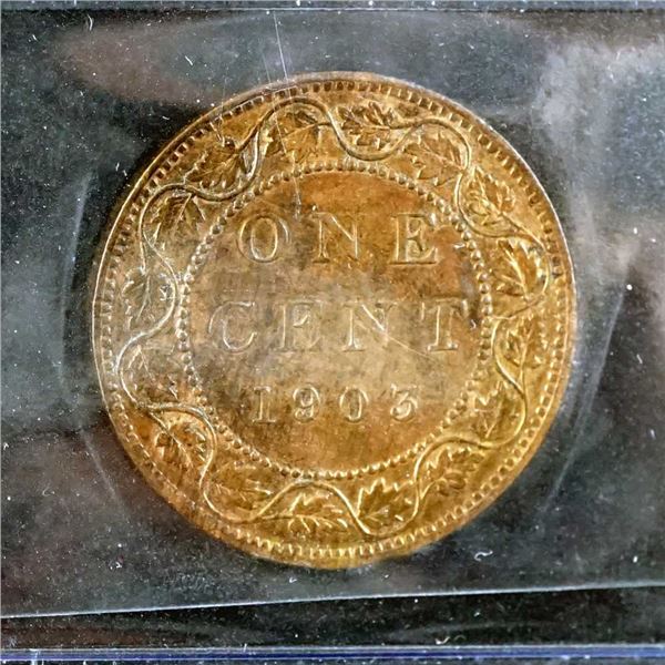 CANADA - 1 cent 1903 - MS-62 RB