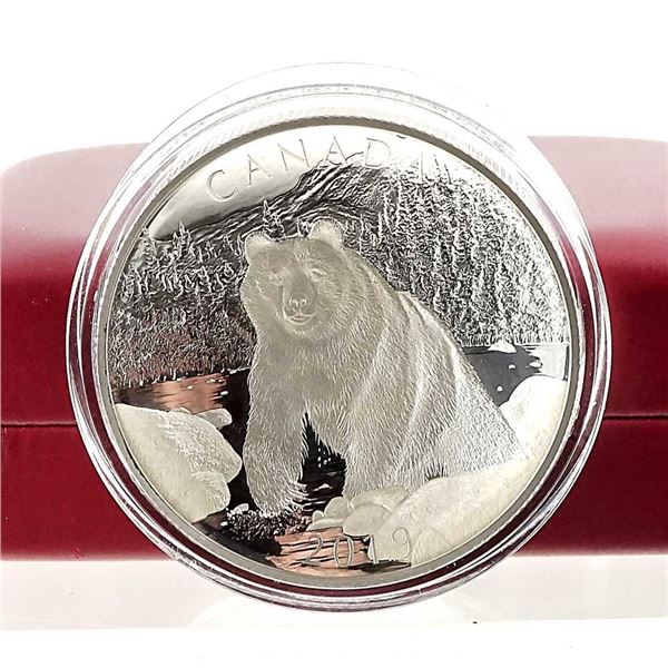 CANADA - $100 2019 Nature indomptee: Ours brun