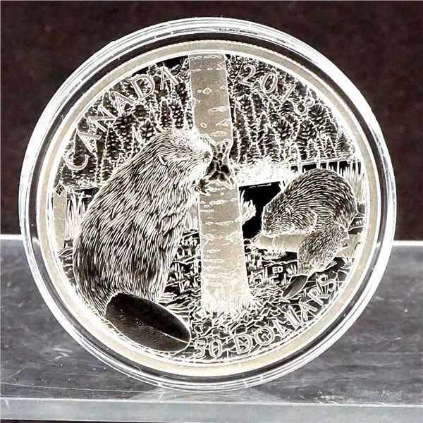 CANADA - $50 2013 Le Castor