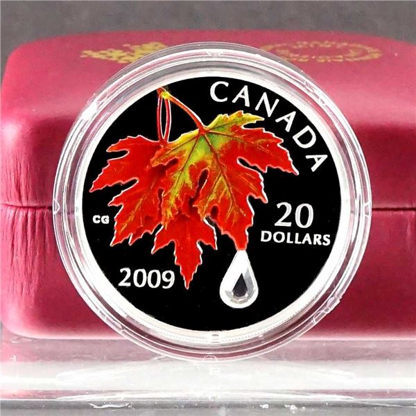 CANADA - $20 2009 Serie Goutte de pluie cristalline - Automne