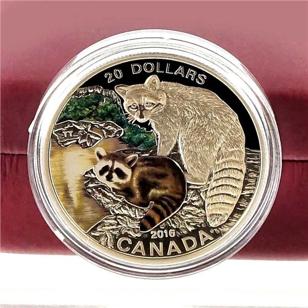 CANADA - $20 2016 Petits du monde animal - Le raton laveur
