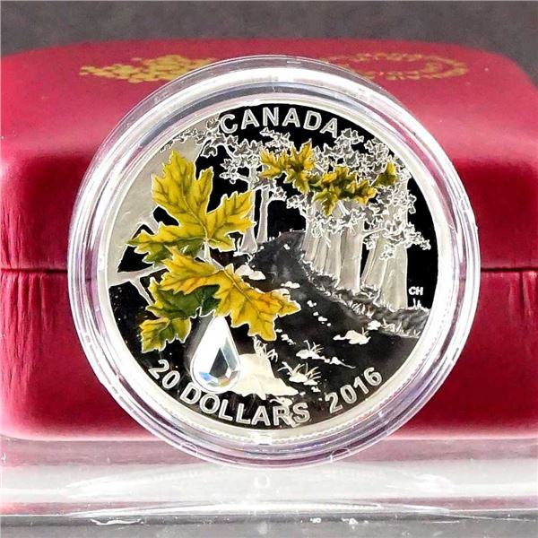 CANADA - $20 2016 Precieuse goutte de pluie - Erable grandifolie