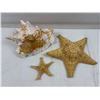 Image 1 : Conch Shell and Starfish