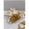 Image 2 : Conch Shell and Starfish