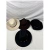 Image 2 : Variety of Cowboy Hats