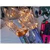 Image 7 : Assortment of Christmas Lights