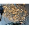 Image 8 : Assortment of Christmas Lights