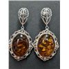 Image 1 : $500, SILVER(10.8g), AMBER EARRING, retail value $500
