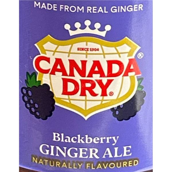 Canada Dry Blackberry 24x500mL