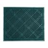 Image 1 : Green Waterproof Door Mat with Spray Clean Feature LOT OF 2