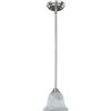 Image 1 : Michael Pendant Light with Metal Finish and Frosted Glass Design