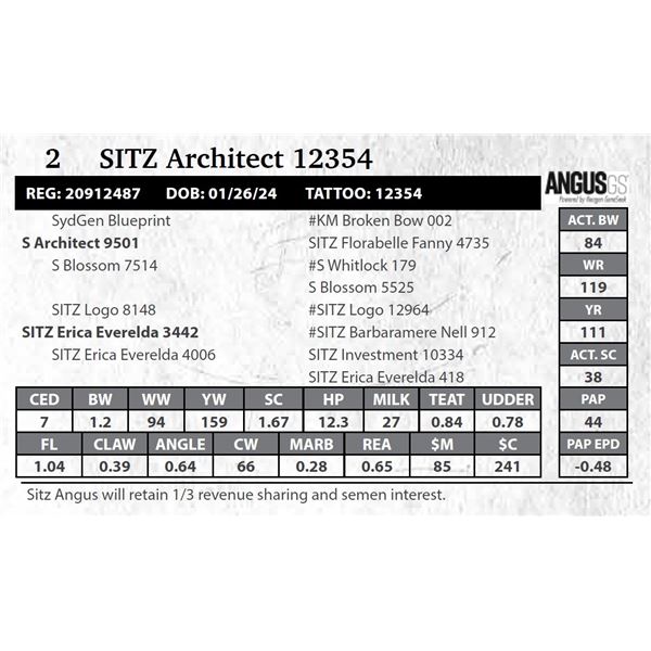 SITZ Architect 12354