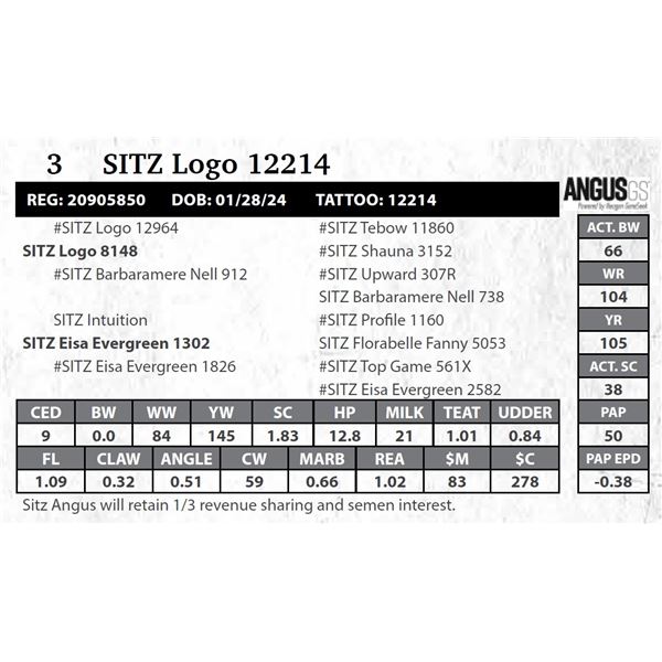 SITZ Logo 12214