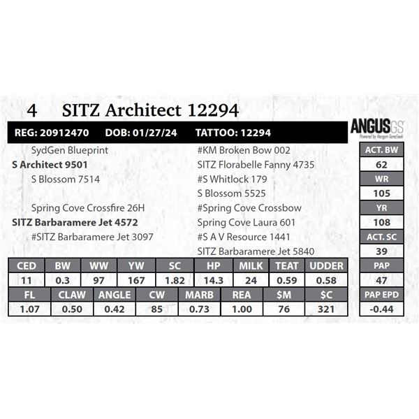 SITZ Architect 12294