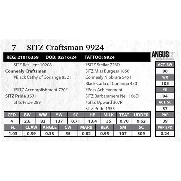 SITZ Craftsman 9924