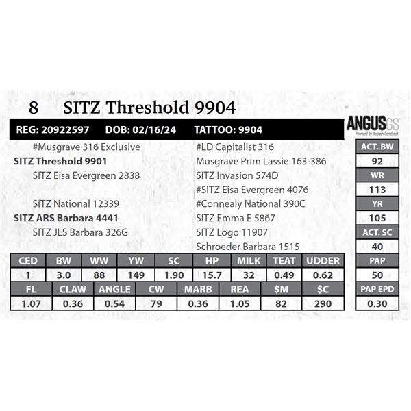 SITZ Threshold 9904