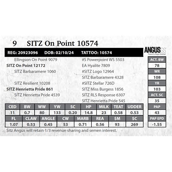 SITZ On Point 10574
