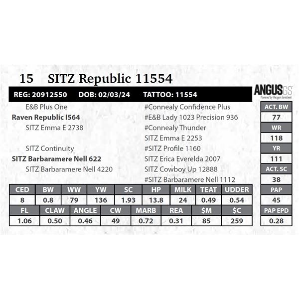 SITZ Republic 115544