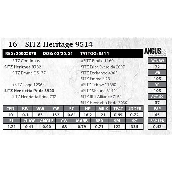 SITZ Heritage 9514