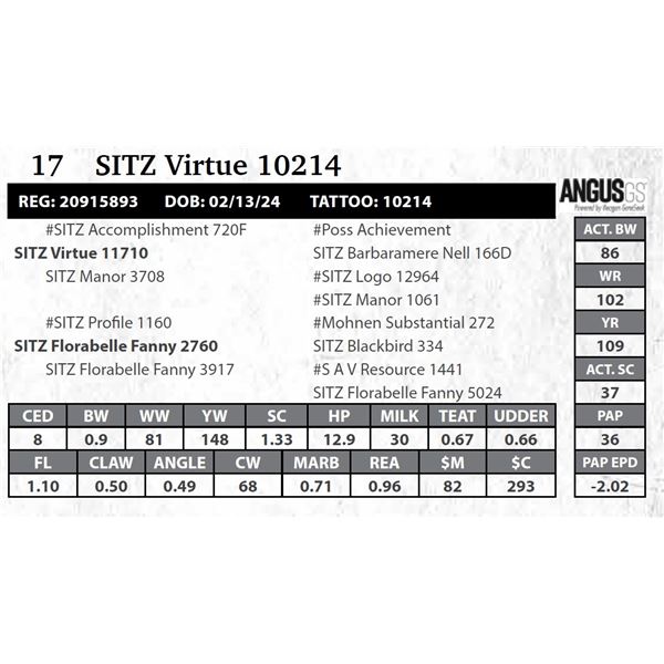 SITZ Virtue 10214