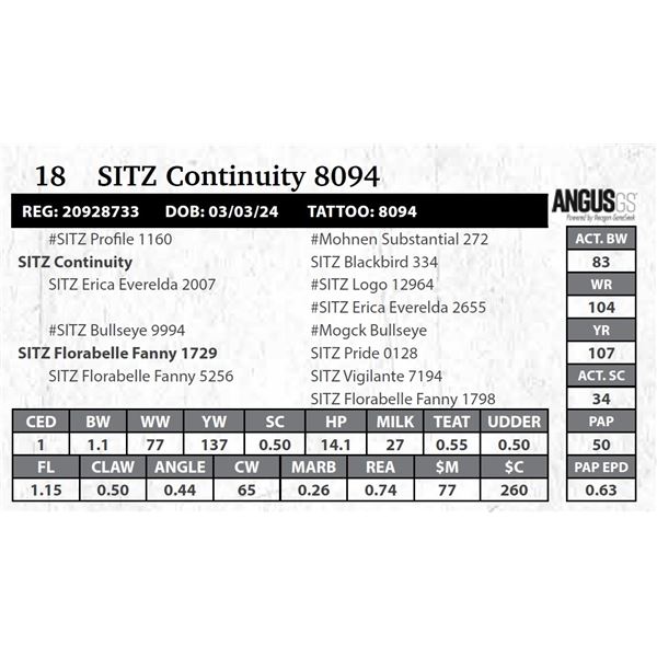 SITZ Continuity 8094