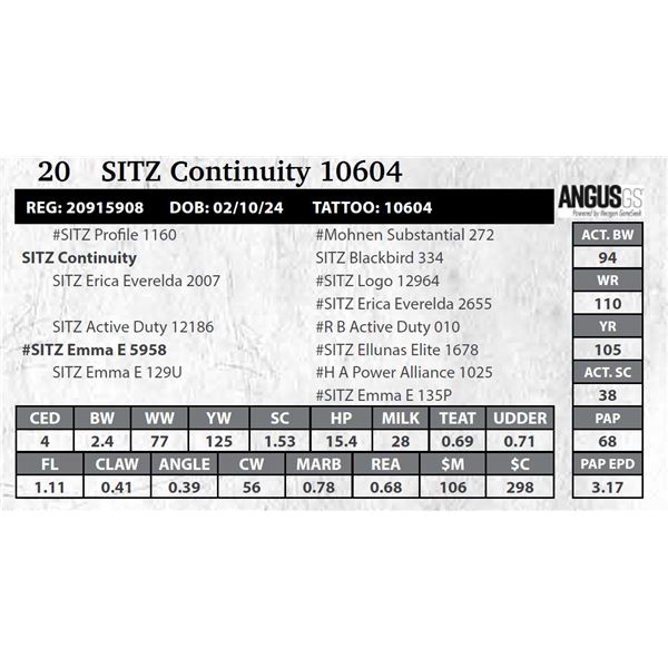 SITZ Continuity 10604