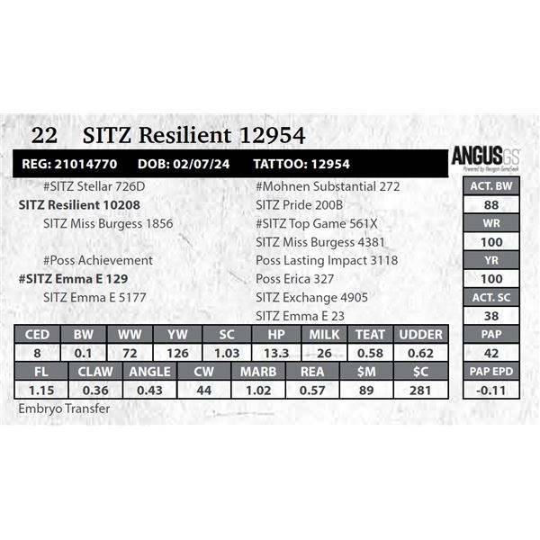 SITZ Resilient 12954