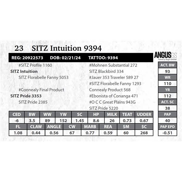 SITZ Intuition 9394