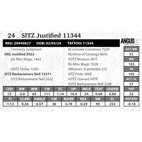 SITZ Justified 11344