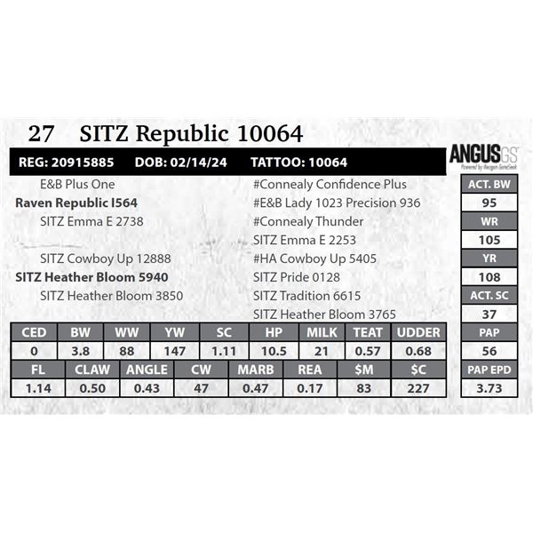 SITZ Republic 10064