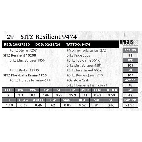 SITZ Resilient 9474