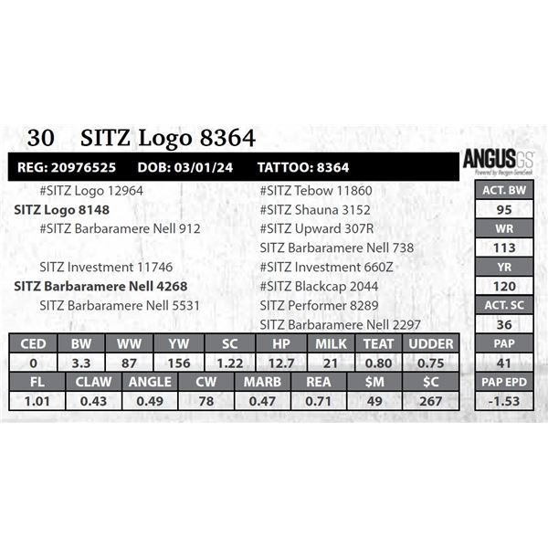 SITZ Logo 8364