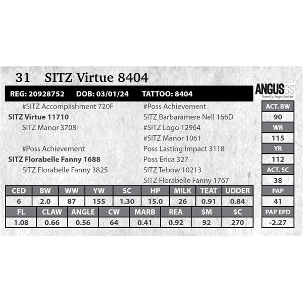 SITZ Virtue 8404