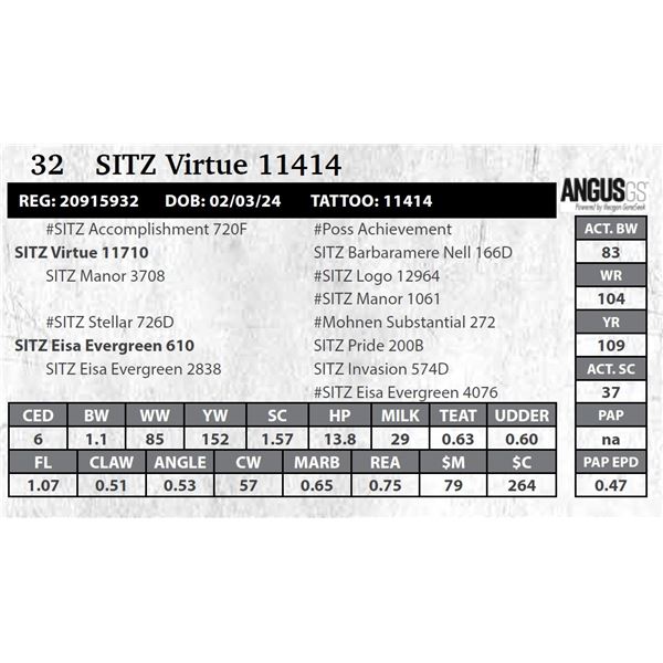 SITZ Virtue 11414