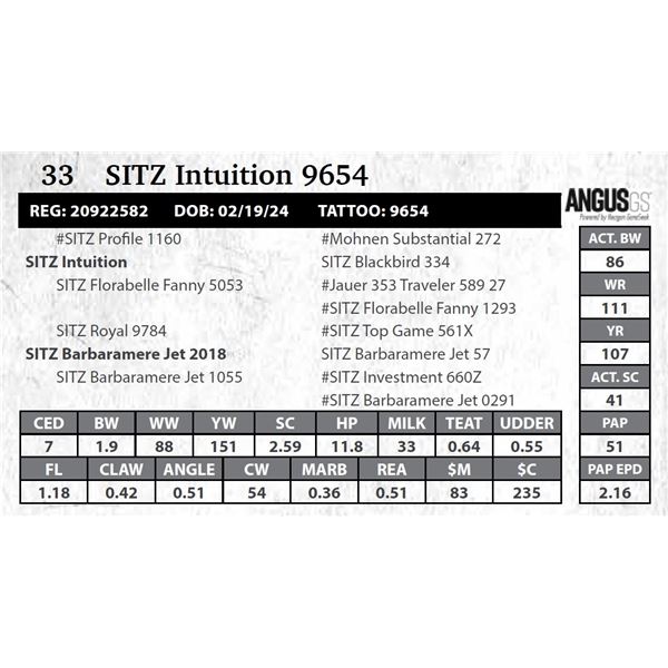 SITZ Intuition 9654
