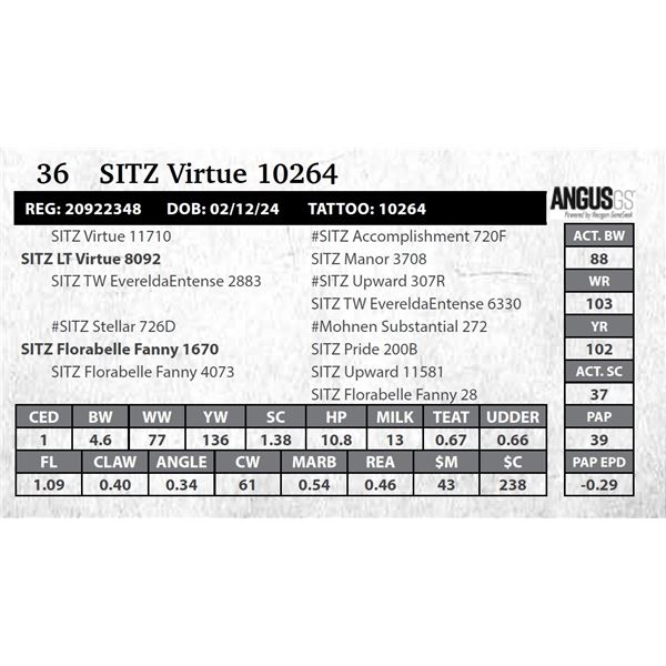 SITZ Virtue 10264