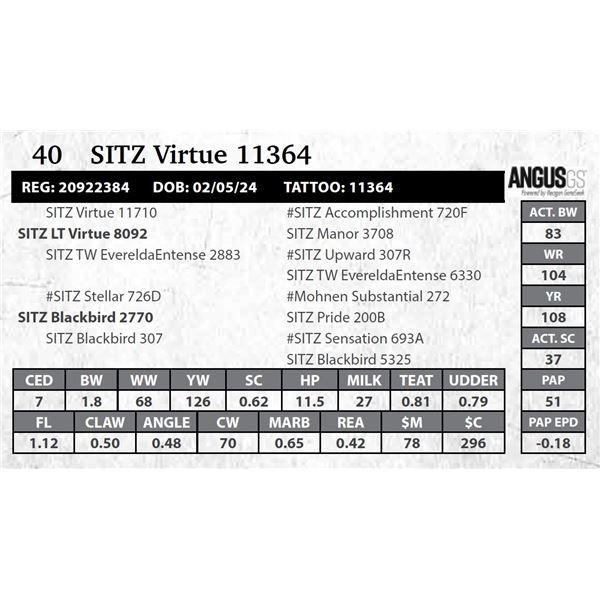 SITZ Virtue 11364