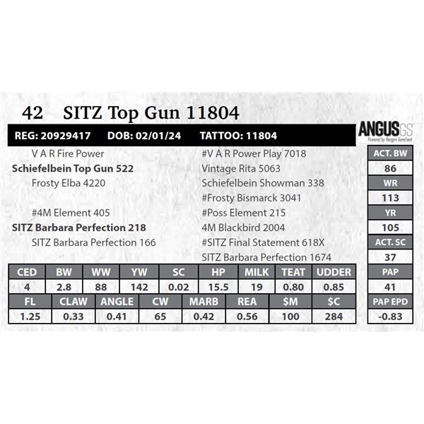 SITZ Top Gun 11804