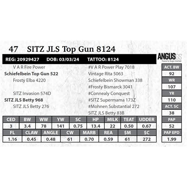 SITZ JLS Top Gun 8124