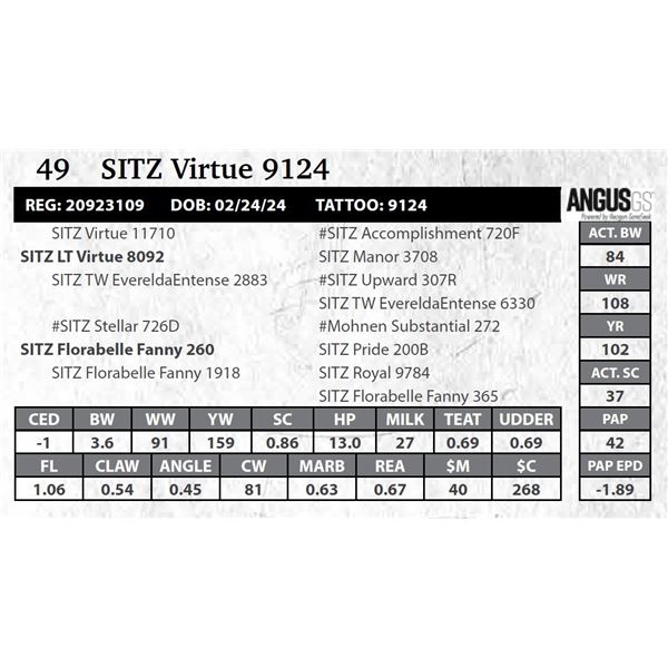 SITZ Virtue 9124