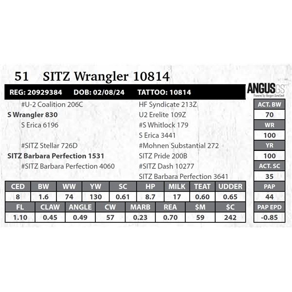 SITZ Wrangler 10814