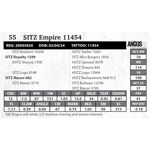 SITZ Empire 11454