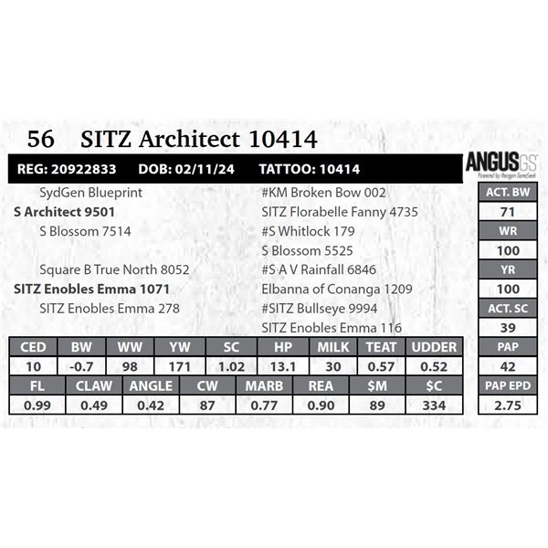 SITZ Architect 10414