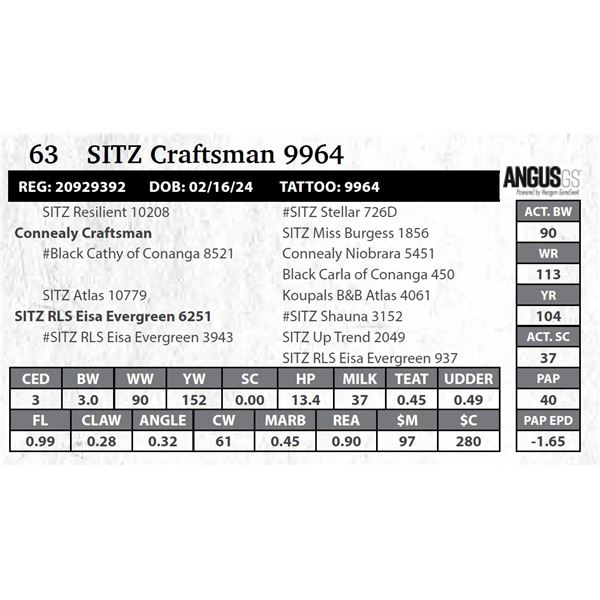 SITZ Craftsman 9964